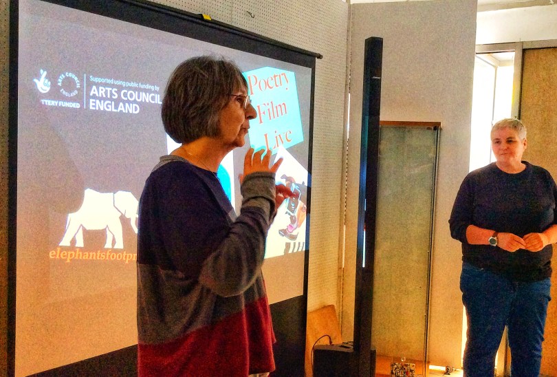 Chaucer (left) and Helen (right) from Elephant's Footprint