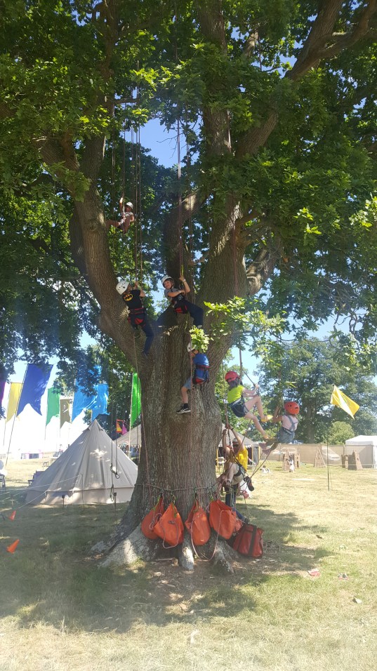 children lost in a tree .jpg